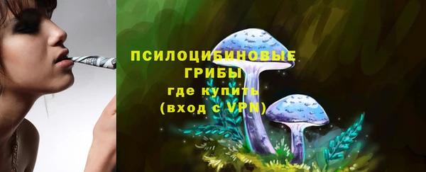 не бодяженный Заводоуковск