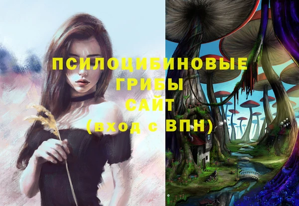 гашик Баксан